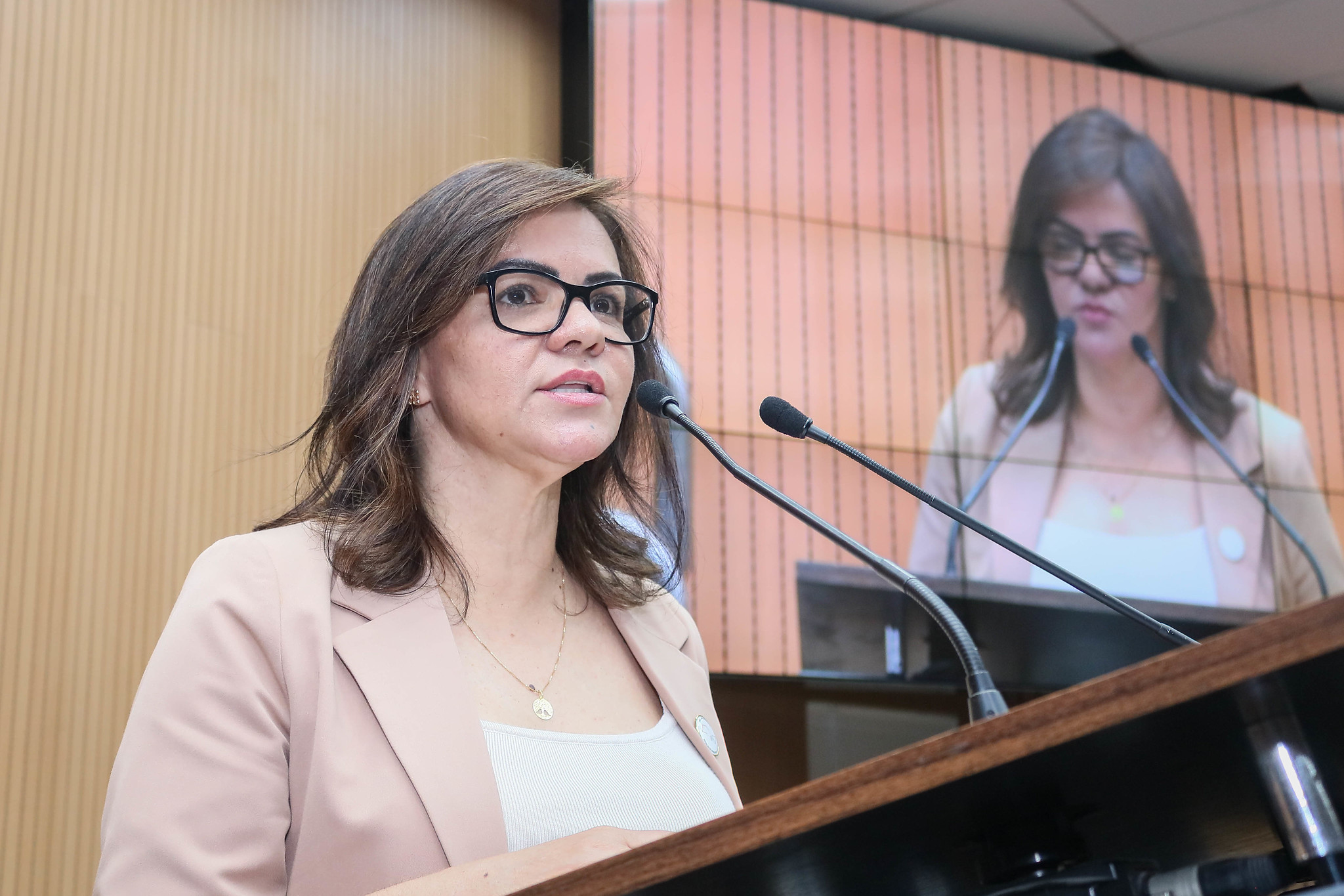 Novembro: Inscrições para o primeiro Prêmio APEL